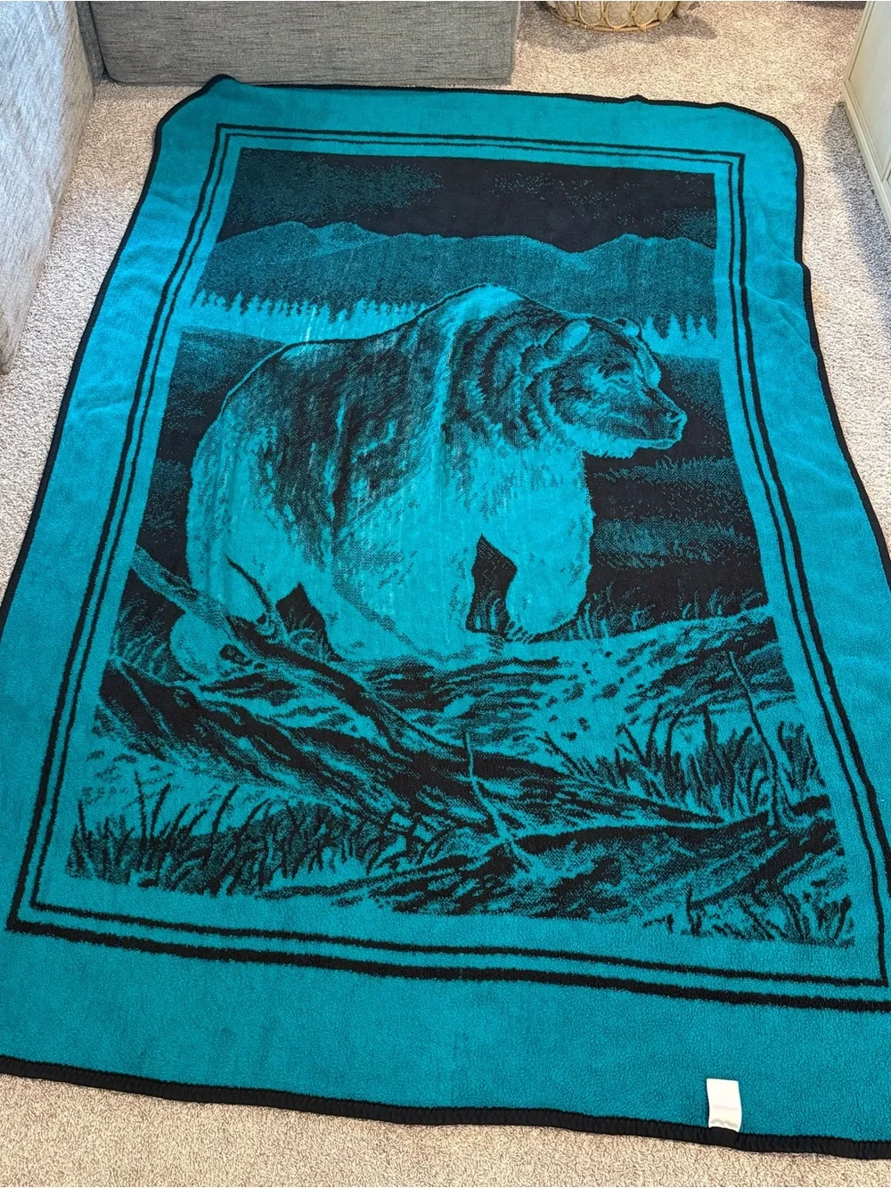 San Marcos vintage grizzly bear teal green blanket reversible 90s